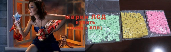 прущие грибы Осташков
