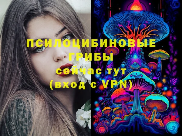 спайс Нягань