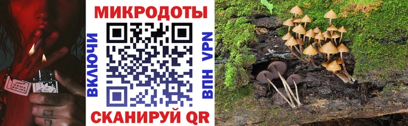 Галлюциногенные грибы GOLDEN TEACHER Пласт